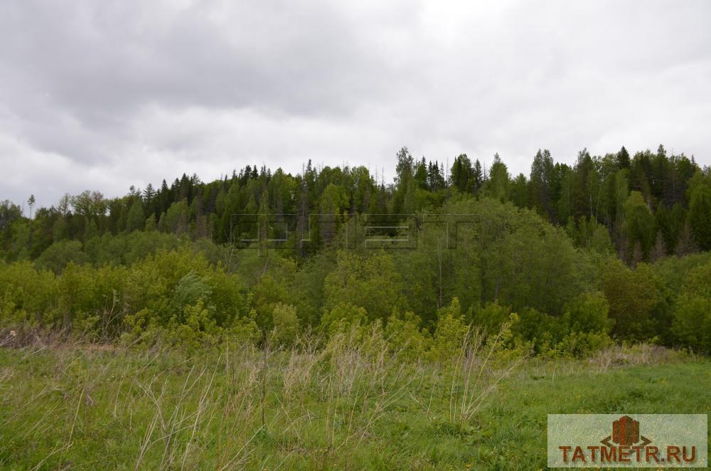 Хотите жить в экологически чистом месте и с красивым видом, продаем земельный участок в Сабинском районе  90 км от... - 1