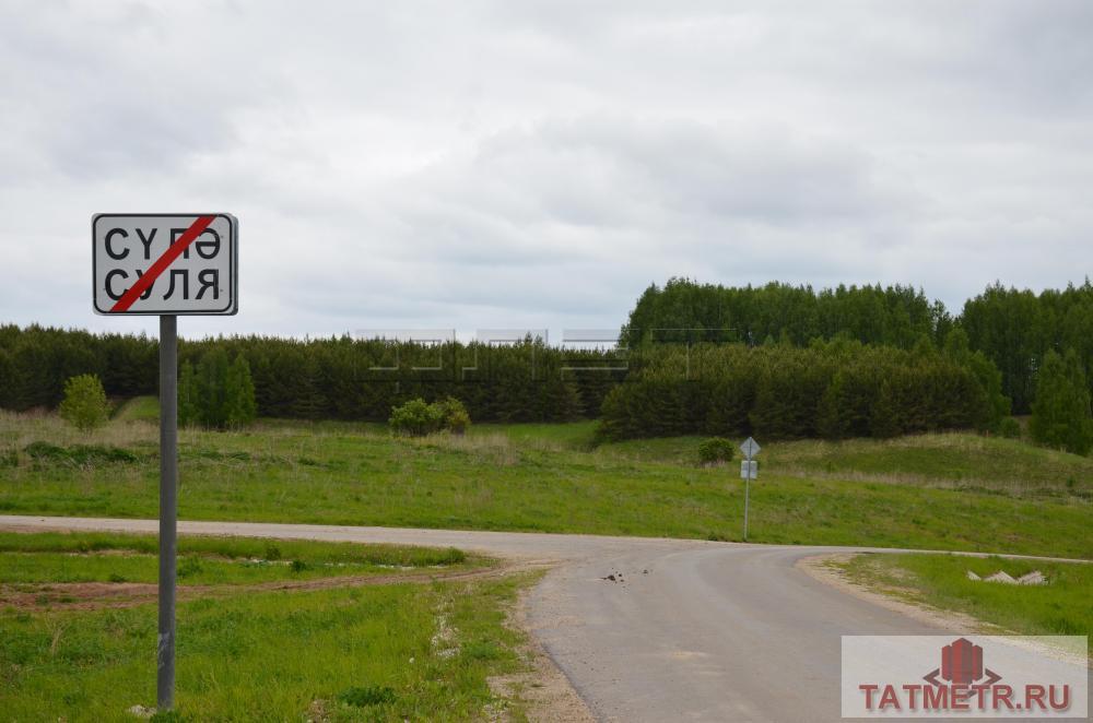 Хотите жить в экологически чистом месте и с красивым видом, продаем земельный участок в Сабинском районе  90 км от... - 15