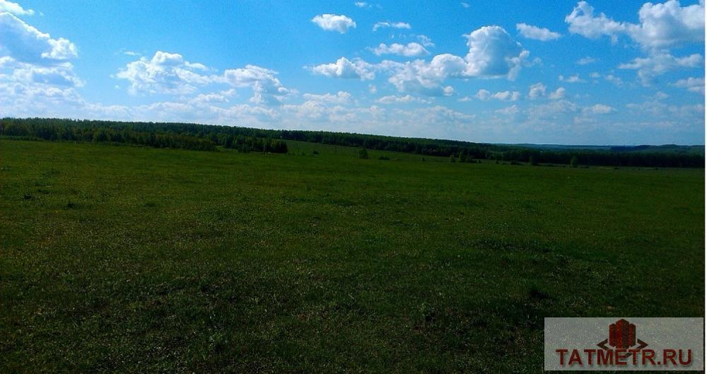 Продам участок под сельскохозяйственное производство рядом с селом Большие Кургузи (газ в населенном пункте,...