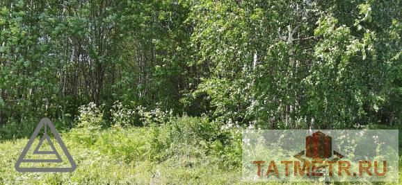 Продается земельный участок общей площадью 30 сотки, находящийся по адресу: Республика Татарстан, Зеленадольслий...