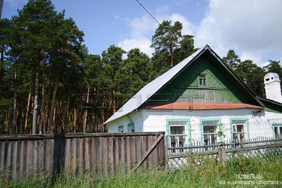 Продается одноэтажный жилой дом в Новом Аракчино, ул. Еловая  рядом с сосновым лесом (позади дома располагается... - 1