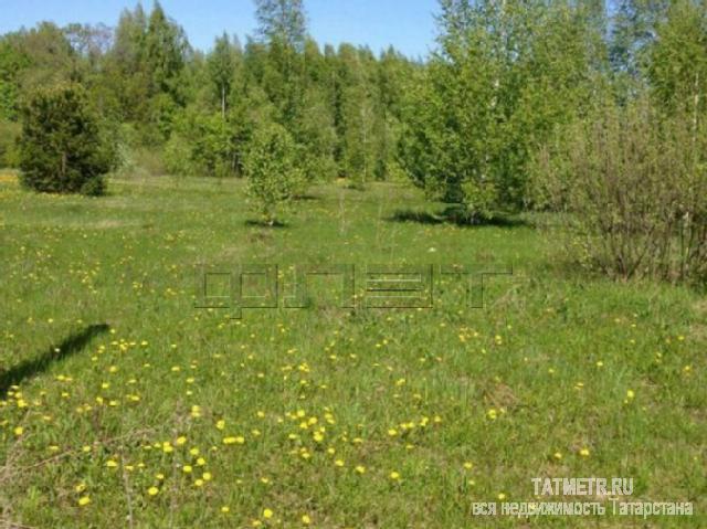 В пос. Новое Шигалеево в живописном Пестречинском районе в с/о «Горизонт-Родник» , в 9 км от Казани продается ровный...