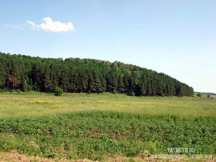 Прекрасный участок в живописном и экологически чистом уголке природы в тишине и полной обособленности от суеты...