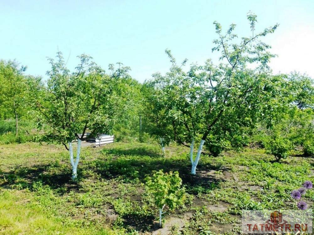 ПРОДАЕТСЯ замечательный, крепкий дом в очень красивом, живописном и экологически чистом районе с. Большое Ходяшево.... - 11