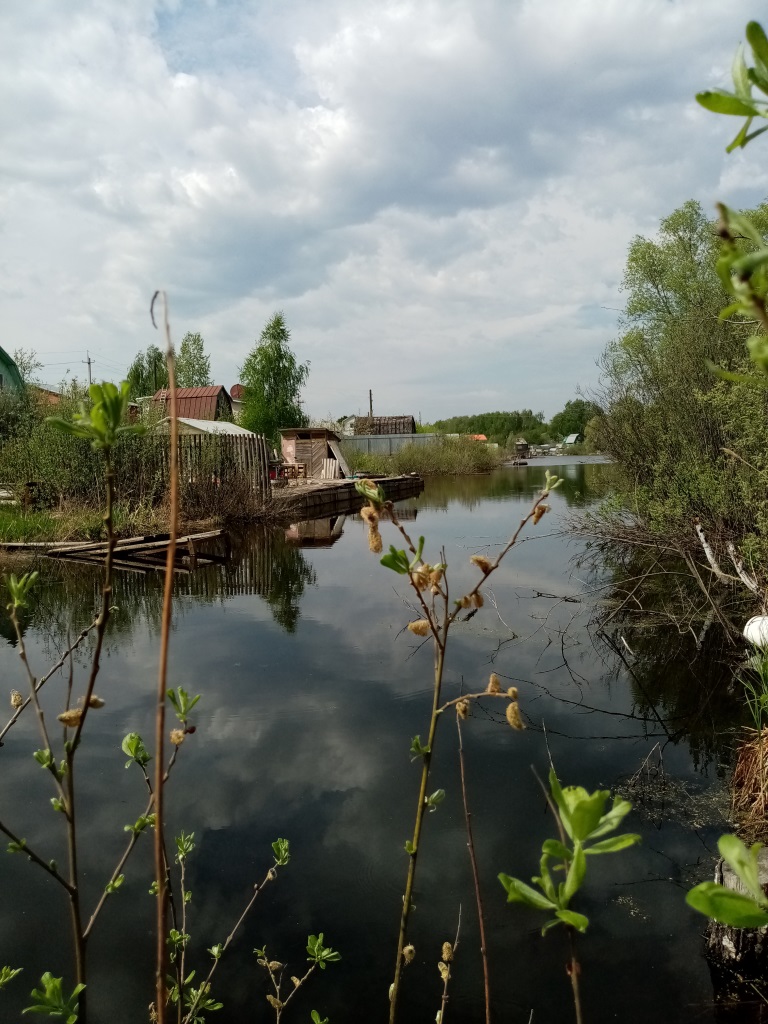 Продается дачный участок в пгт. Васильево. Участок огорожен профнастилом,  расположен на берегу небольшого озера.... - 2