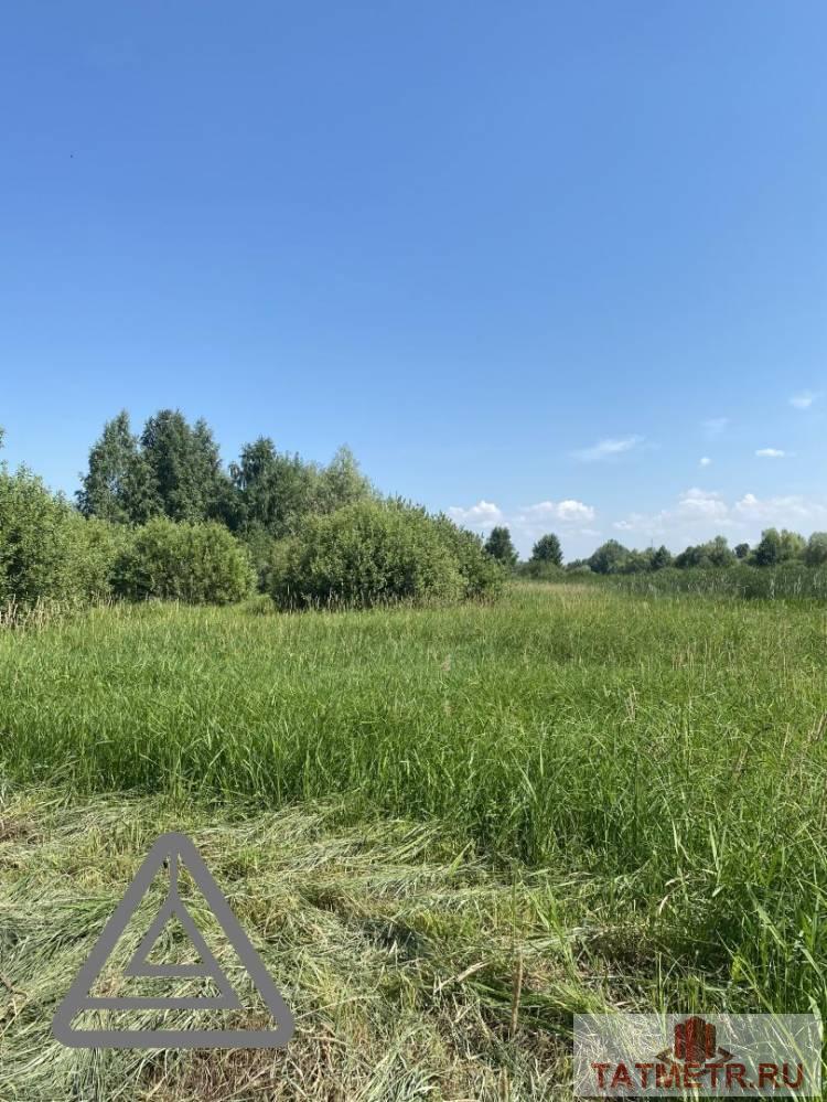 Продам земельный участок площадью 3.3 гектара в экологически чистом месте, в о коттеджном поселка Старое Победилово... - 3